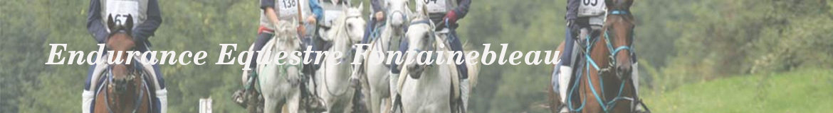 Endurance Equestre Fontainebleau