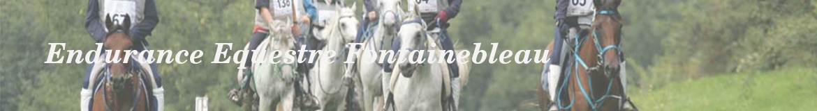 Endurance Equestre Fontainebleau